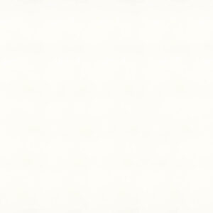 1111 Vivid White