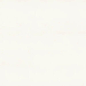 2141 Snow