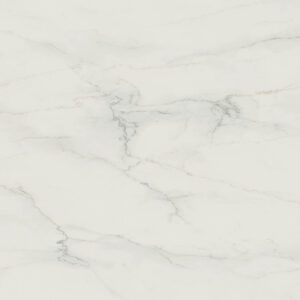 501 Snowdrift