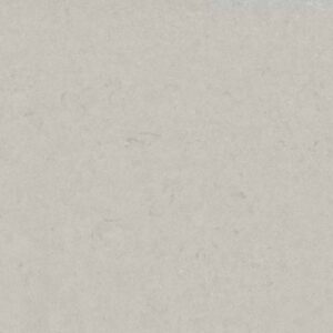Motion Grey
